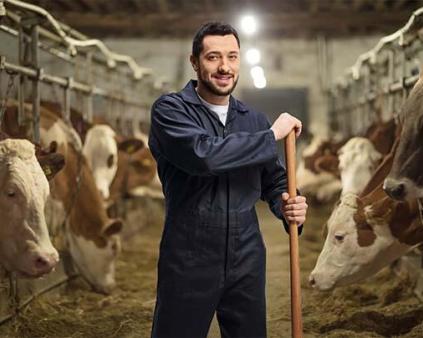 éleveur avec son cheptel