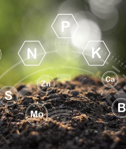 terre et symboles divers dont azote