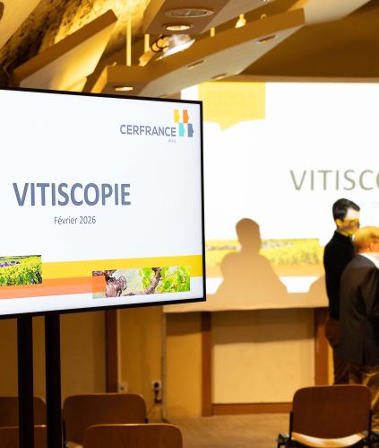 réunion vitiscopie 2026