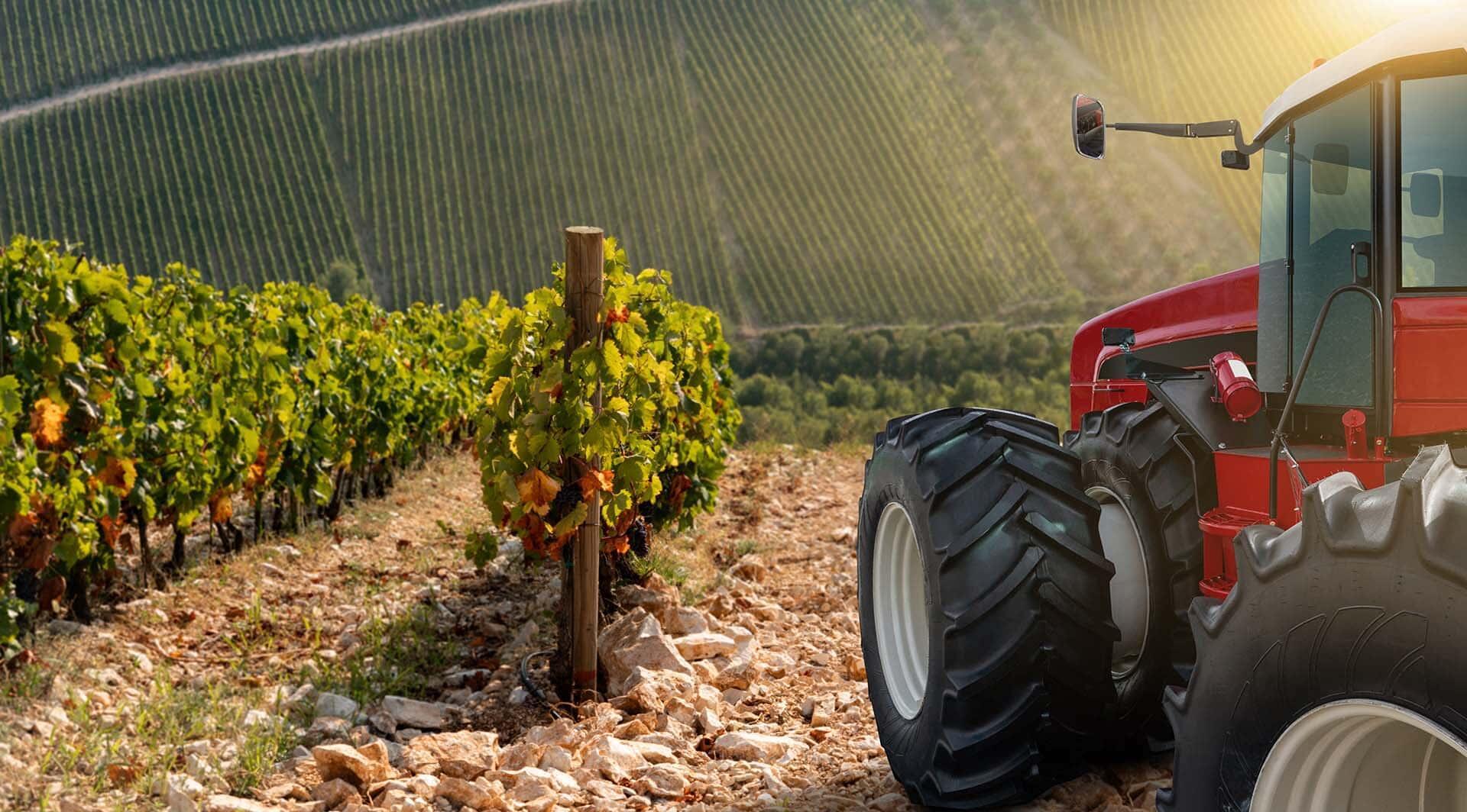 tracteur dans les vignes