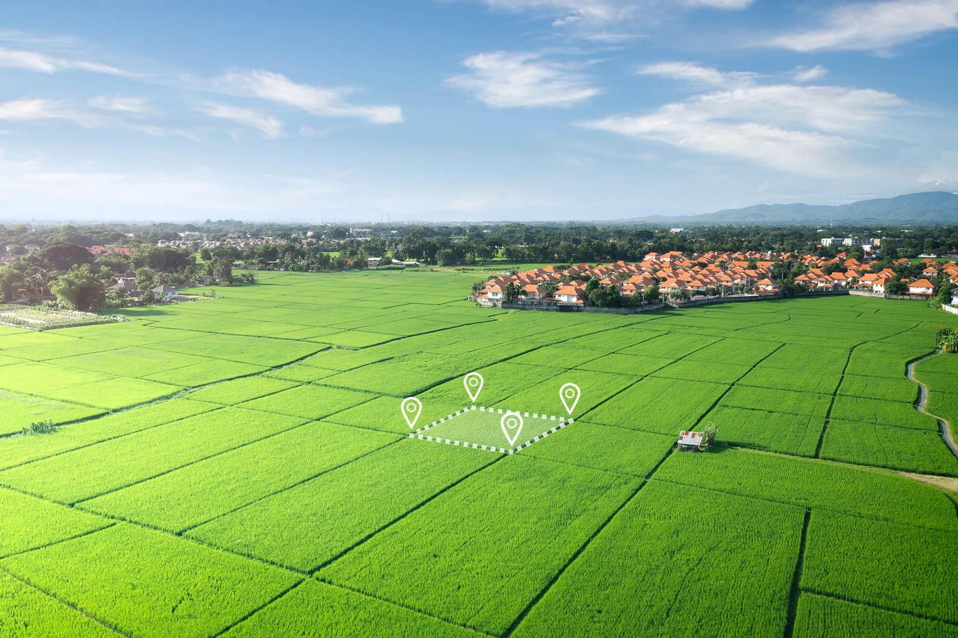 illustration d'une parcelle agricole