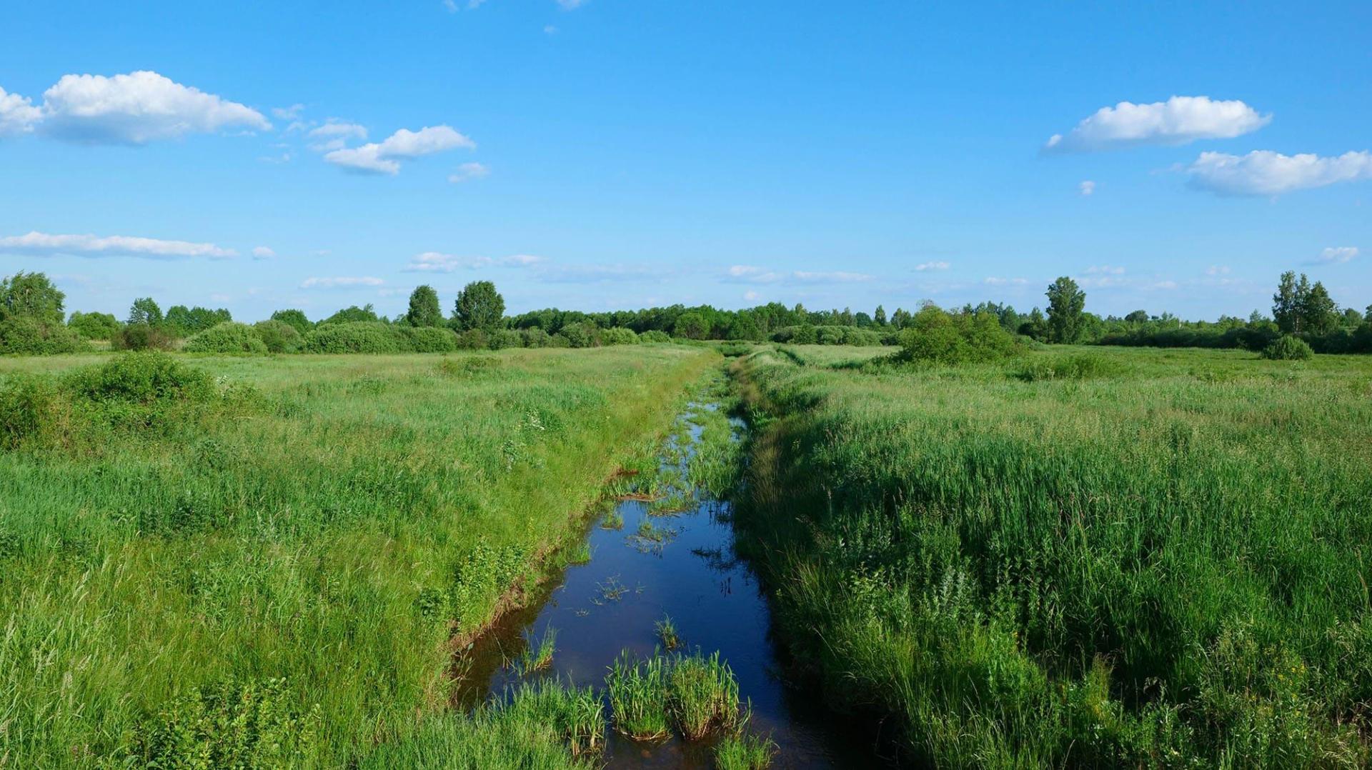 paysage de champs verts traversés par un ruisseau par beau temps