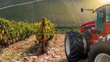 tracteur dans les vignes