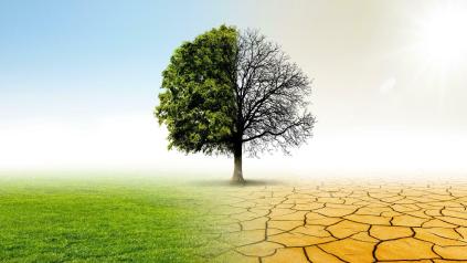 image coupée en 2 avec un côté verdoyant et un côte aride et mort