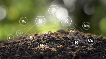 terre et symboles divers dont azote