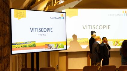 réunion vitiscopie 2024