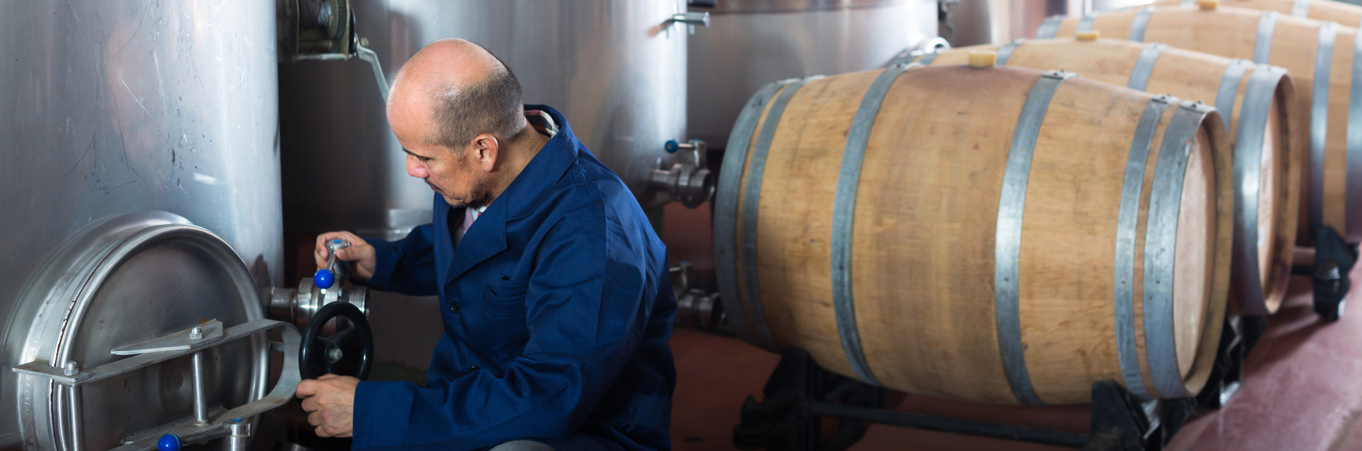 FranceAgrimer, subvention, viticulture, investissement vitivinicole