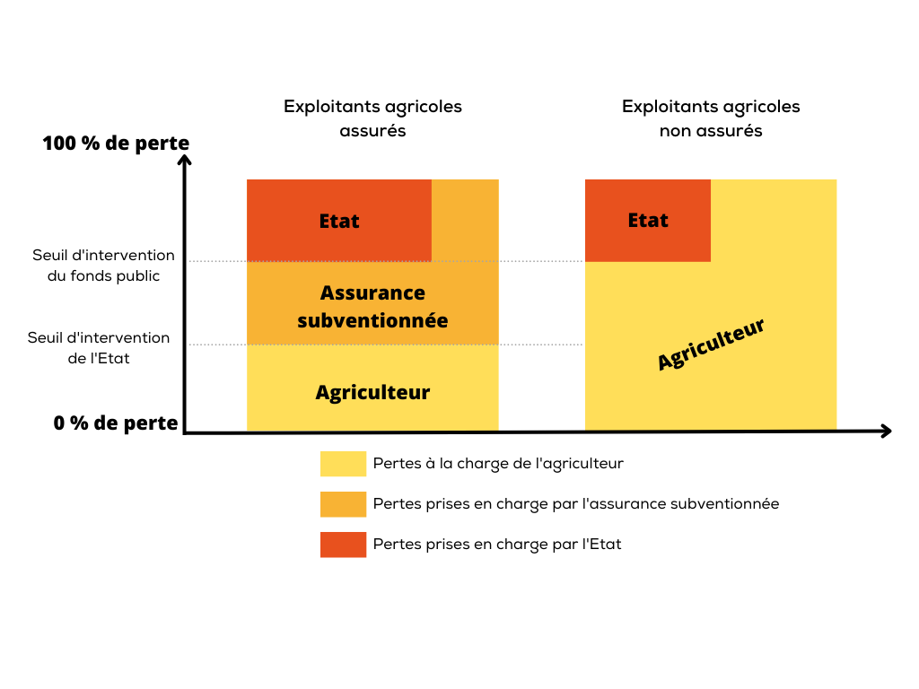 schema de prise en charge en fonction que l'exploitant est assuré ou non